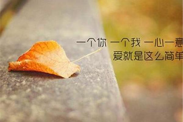 我只是一个过客