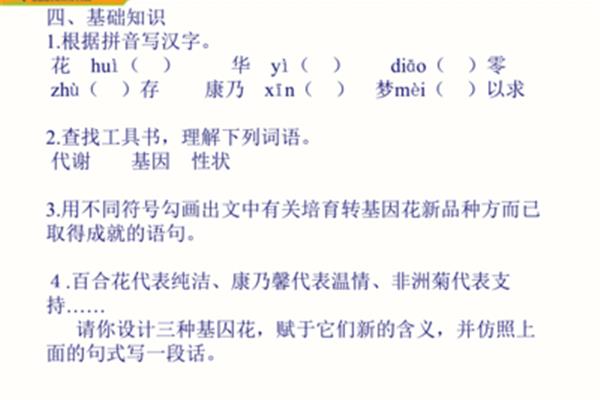 一束花拼音