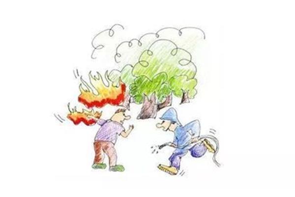 森林火警电话