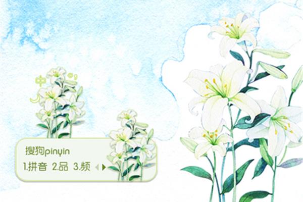 一束花拼音