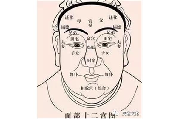 五官指的是什么