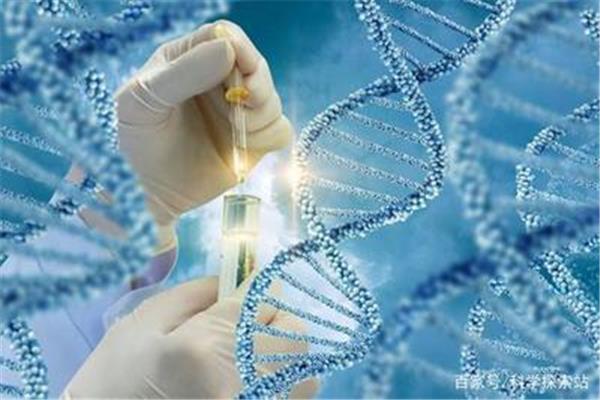 纳米技术论文