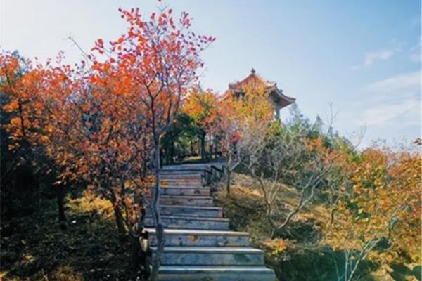 百望山森林公园