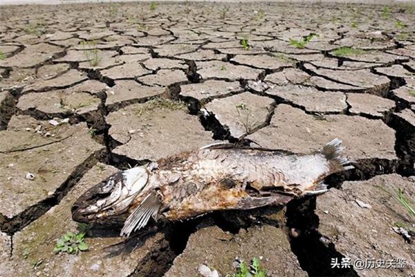 黄河断流的原因