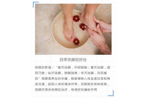夏天的好处