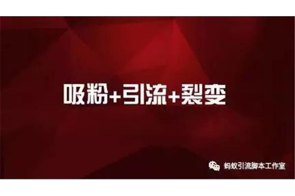 吸粉是什么意思