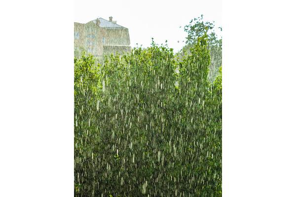 窗外的大雨