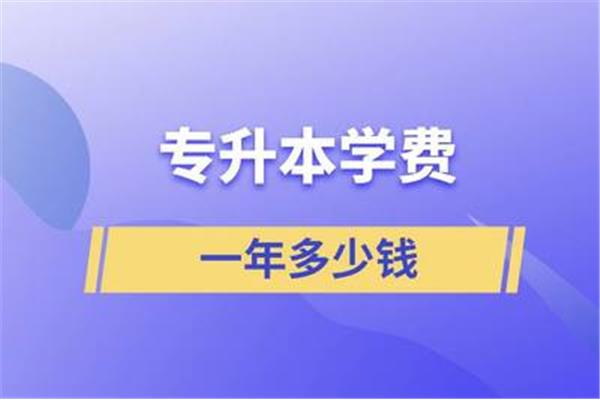 专升本报名多少钱