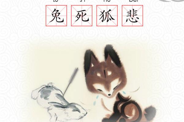 兔字的成语