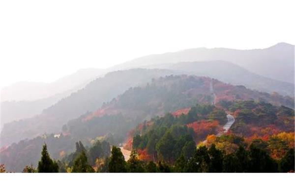 百望山森林公园