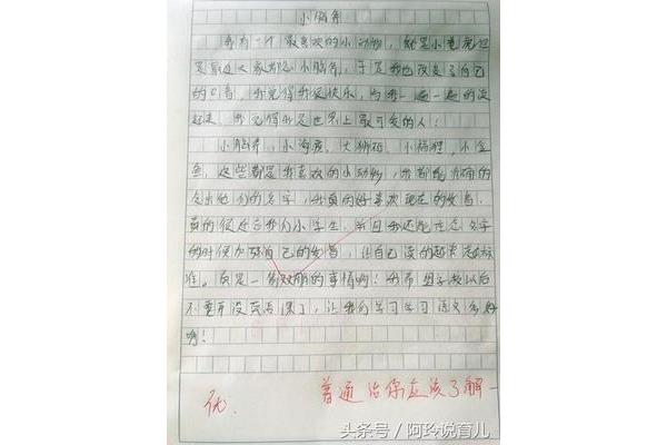 动物朋友作文