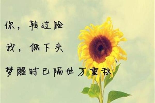 我只是一个过客