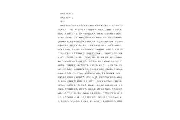 写家的作文
