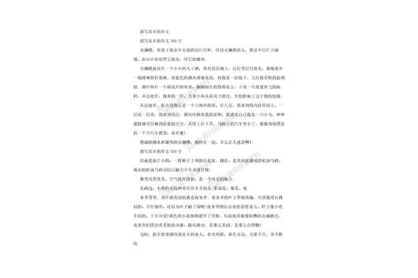 写家的作文