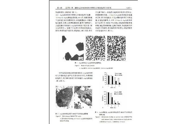 纳米技术论文