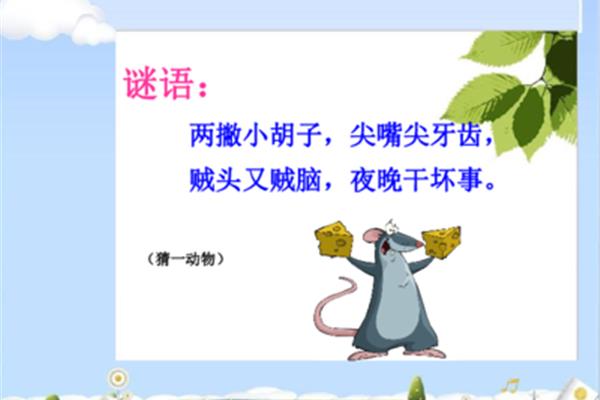 猜动物谜语大全