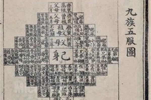 重操旧业的意思