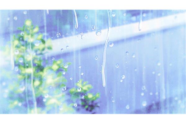 窗外的大雨