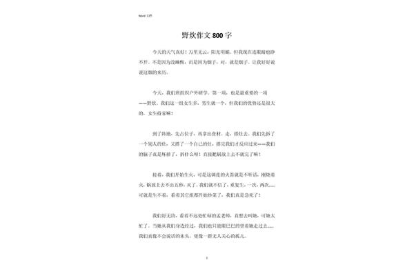 研学作文800字