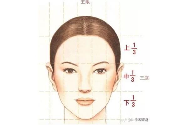 五官指的是什么