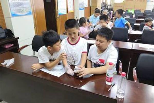 社会实践活动总结