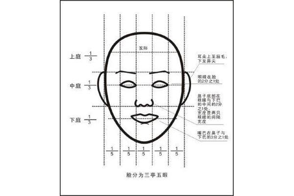 五官指的是什么
