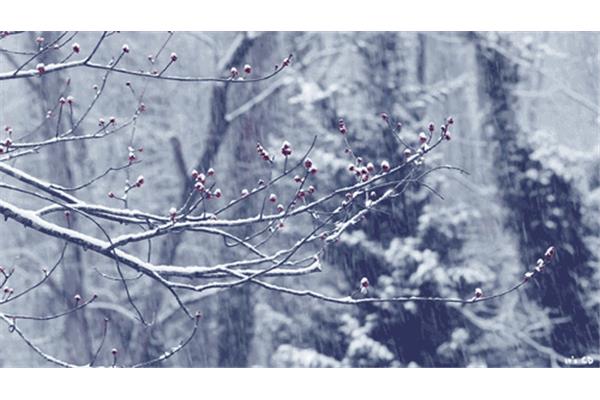 关于描写雪的诗句