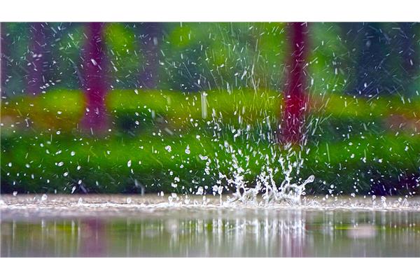 雨点的声音