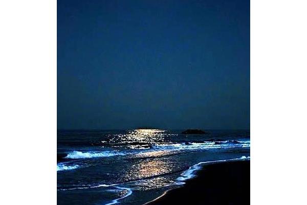 夜晚心情短句