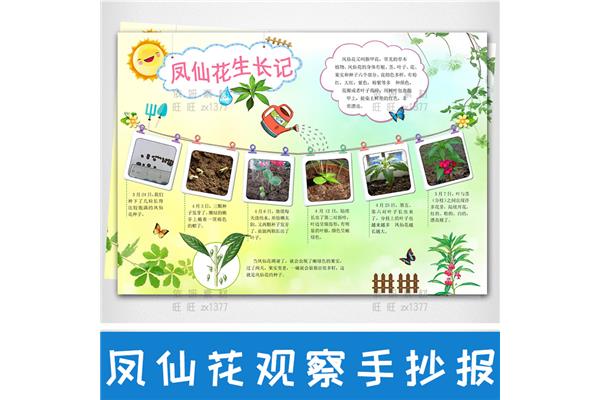 观察植物日记