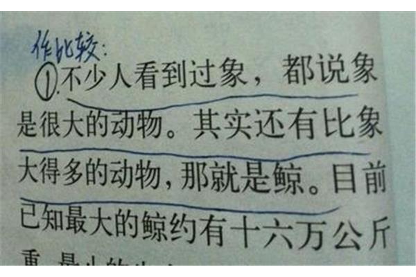 用不仅而且造句子