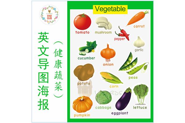 蔬菜用英语怎么写