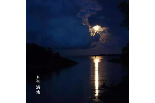 美丽的月光