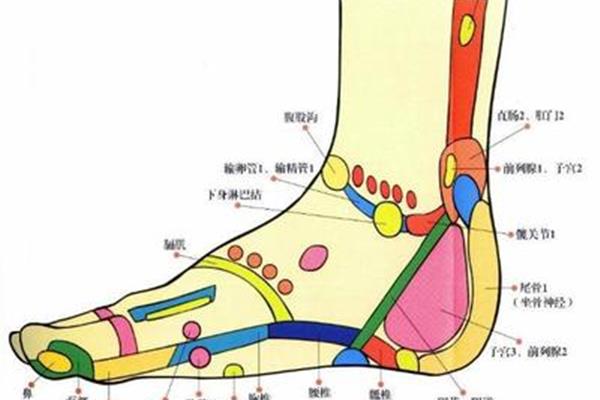 什么头什么足