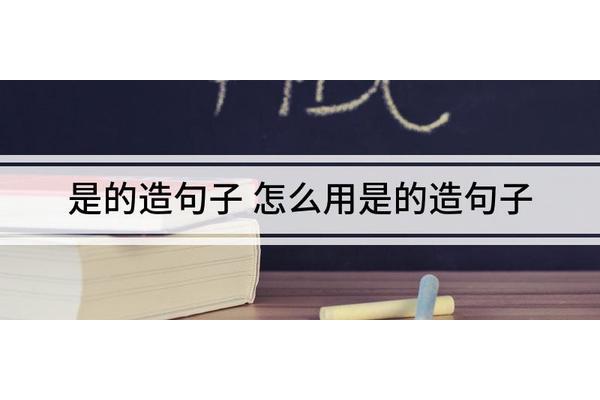 用不仅而且造句子