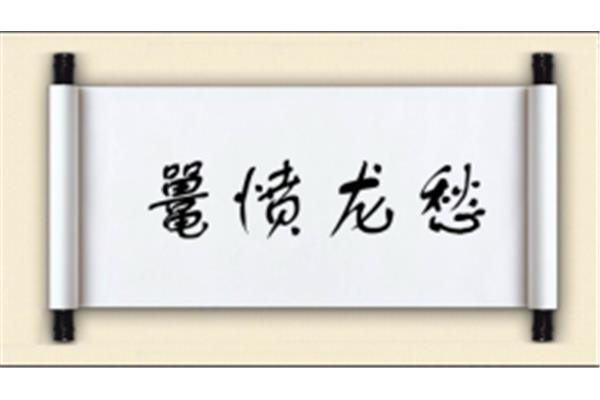 龙开头的成语