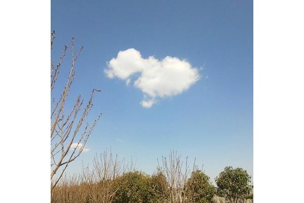 今天的天气很好