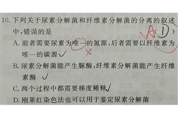 错误的错怎么写