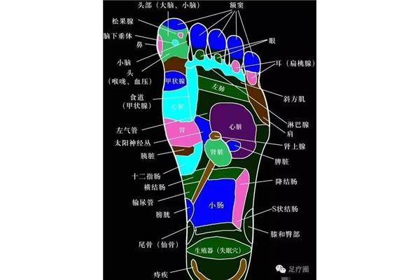 什么头什么足
