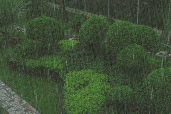 雨点的声音