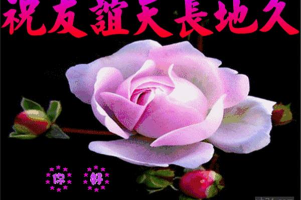 朋友谢谢你