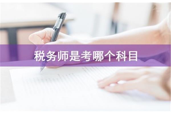 税务会计师