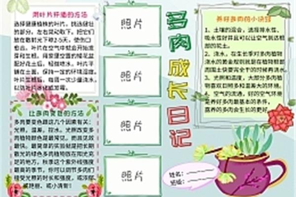 观察植物日记