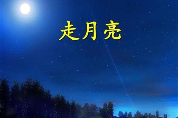 美丽的月光