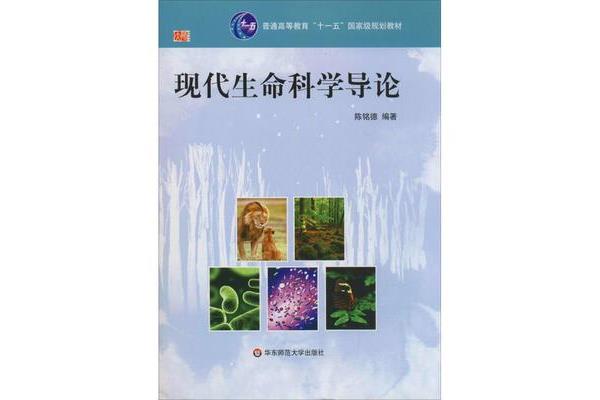 关于教育的书籍