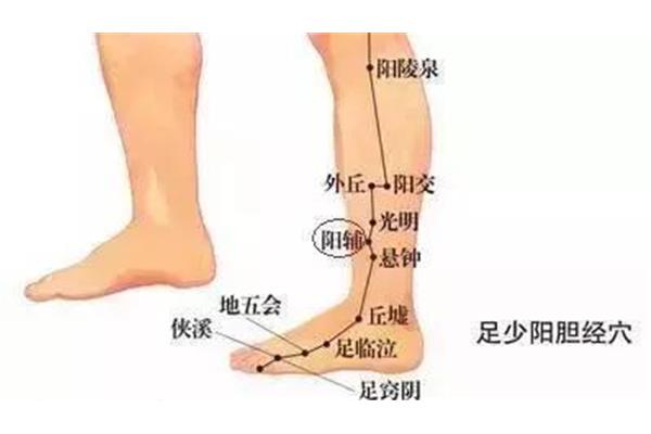 什么头什么足