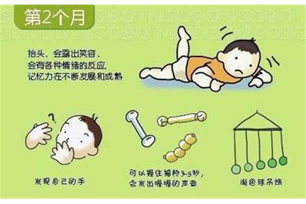 几个月会说话