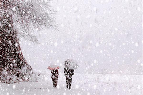 关于描写雪的诗句