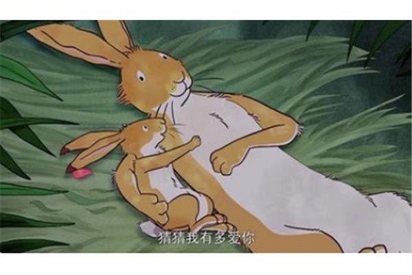 关于母爱的故事
