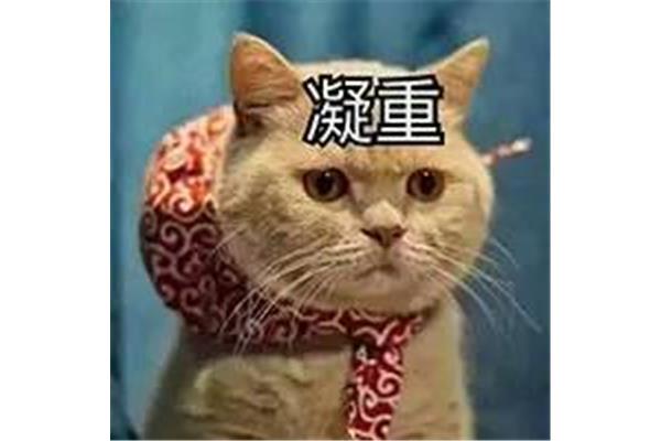 凝重的意思